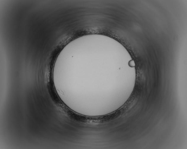 X0000086750694200705111655