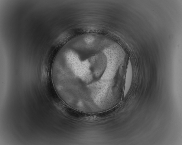 X0000086750695200705111655
