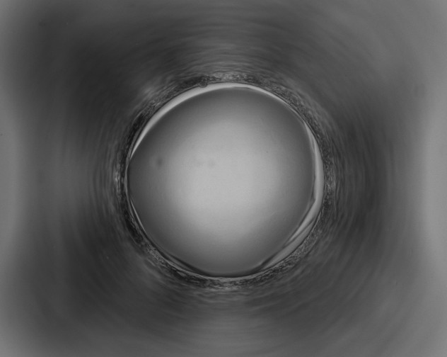 X0000086750696200705111655