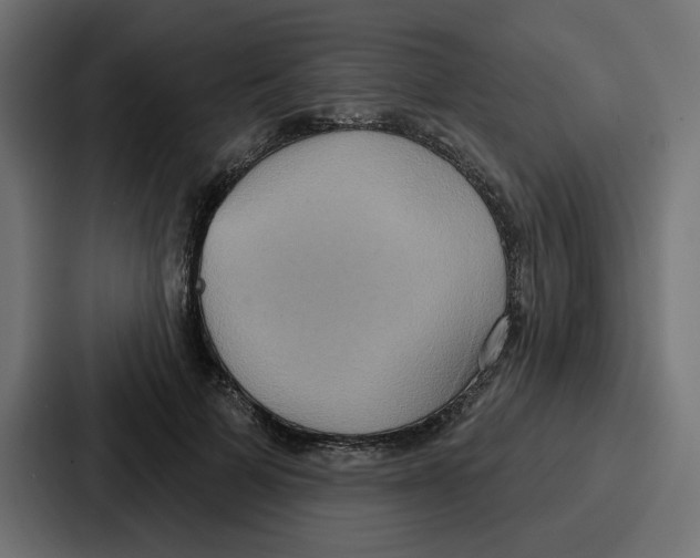 X0000086750697200705111655