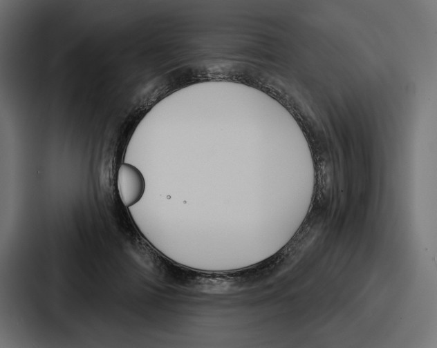 X0000086750698200705111655