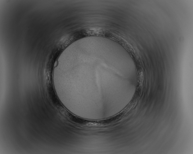 X0000086750699200705111655