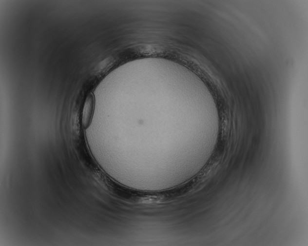X0000086750700200705111655