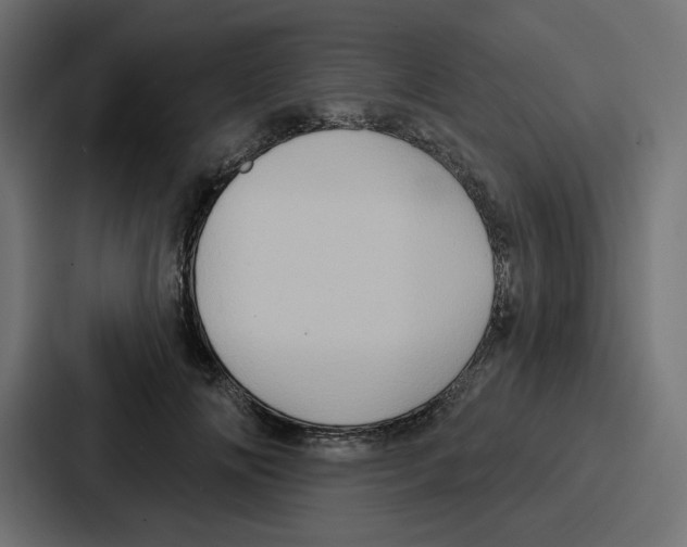 X0000086750702200705111655