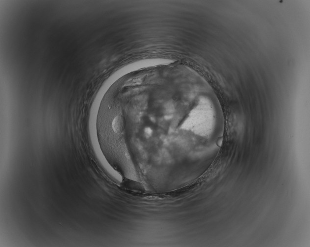 X0000086750703200705111655