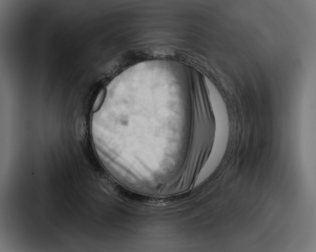 X0000086750704200705111655