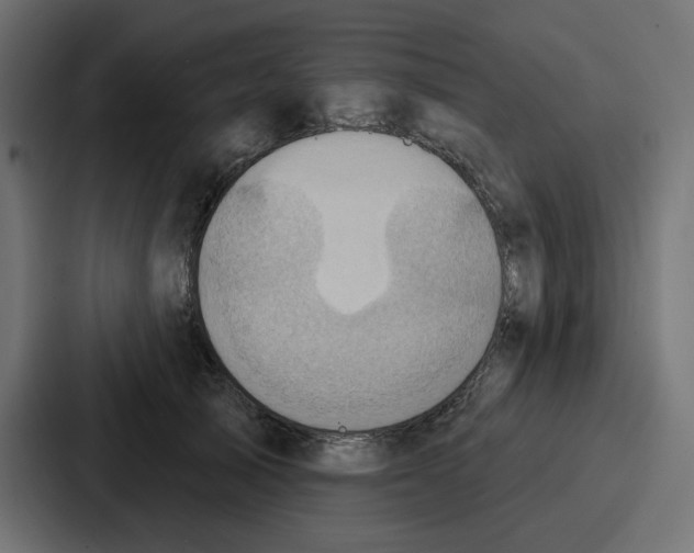 X0000086750705200705111655