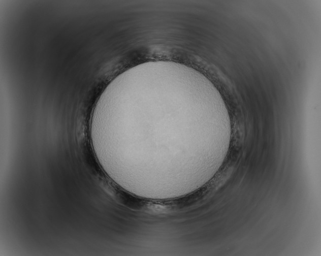 X0000086750706200705111655