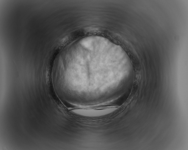 X0000086750708200705111655