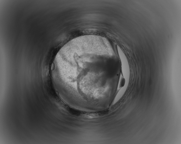 X0000086750711200705111655