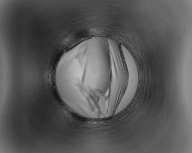 X0000086750712200705111655