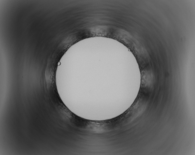 X0000086750713200705111655