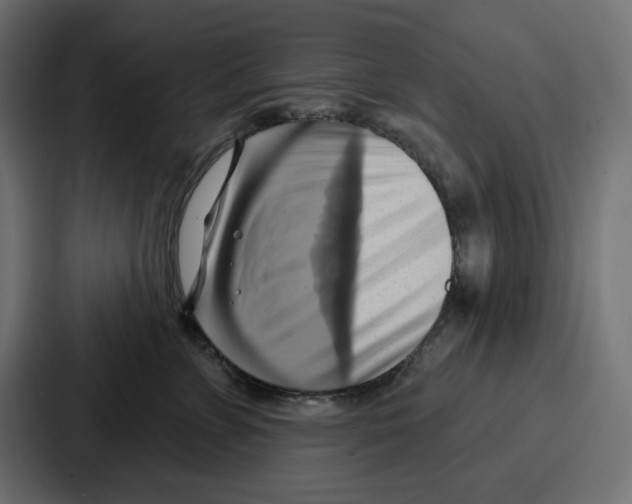 X0000086750715200705111655