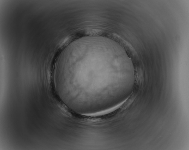 X0000086750716200705111655
