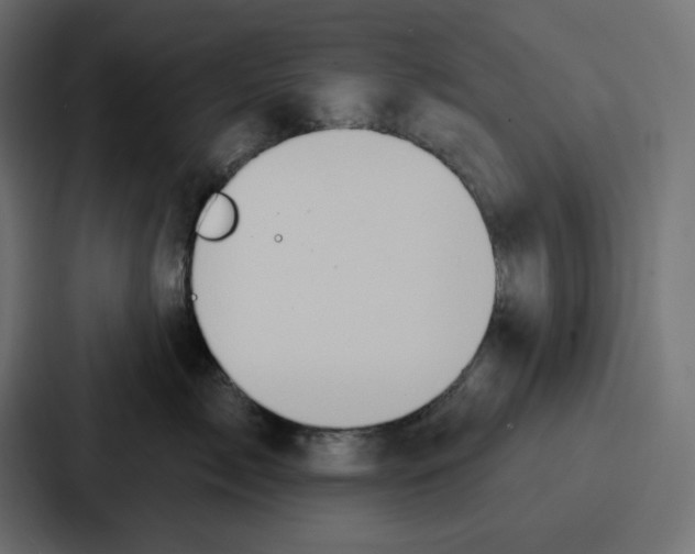 X0000086750717200705111655