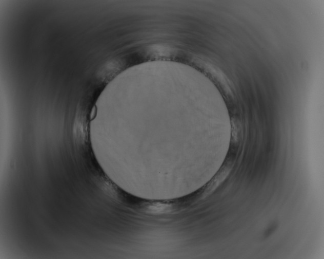 X0000086750718200705111655