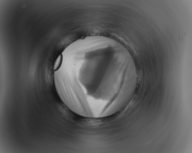 X0000086750719200705111655