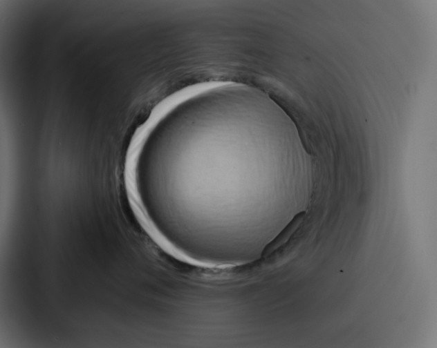 X0000086750720200705111655
