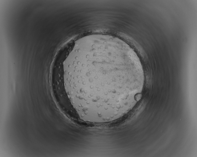 X0000086750721200705111654