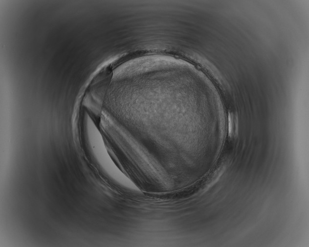 X0000086750723200705111654