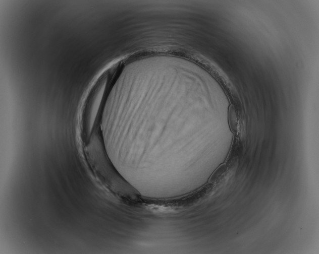 X0000086750724200705111654