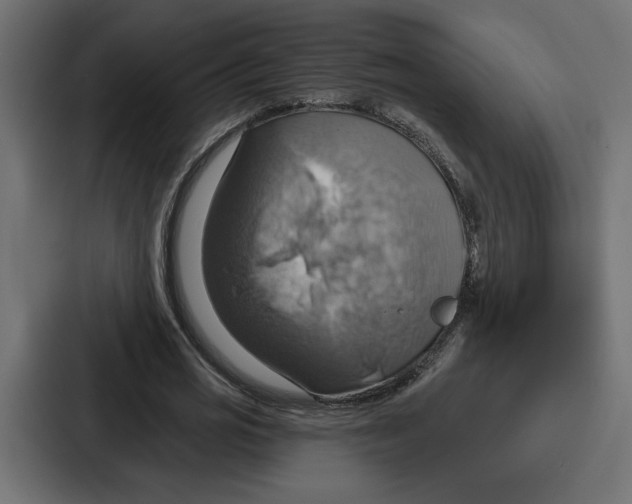 X0000086750725200705111654