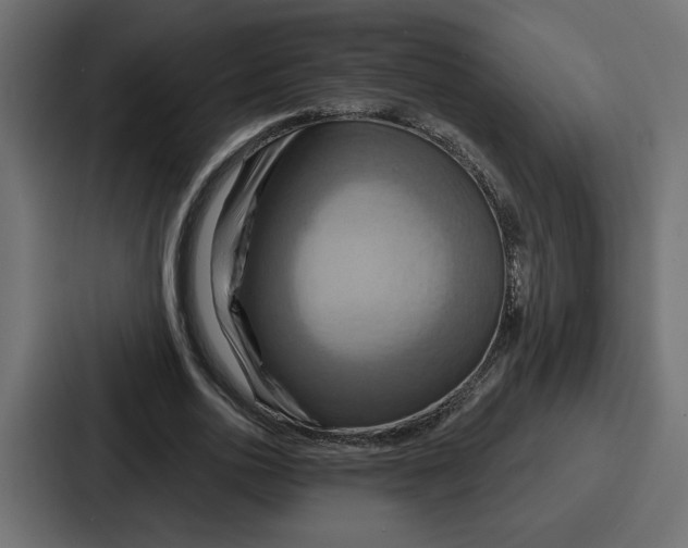 X0000086750726200705111654