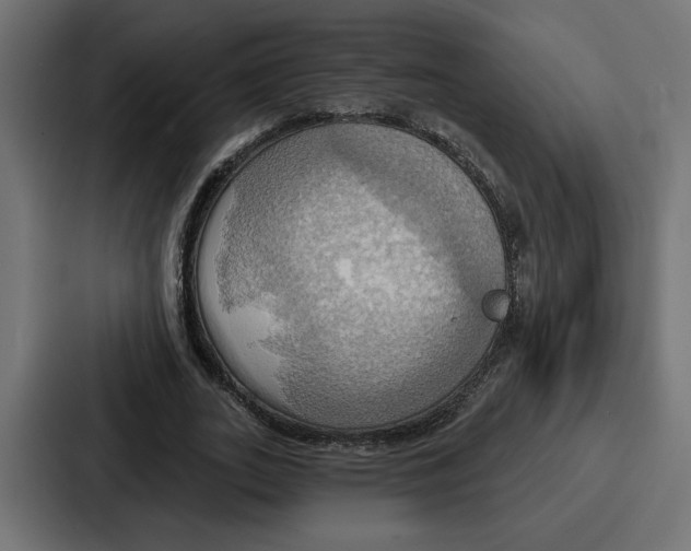 X0000086750727200705111654