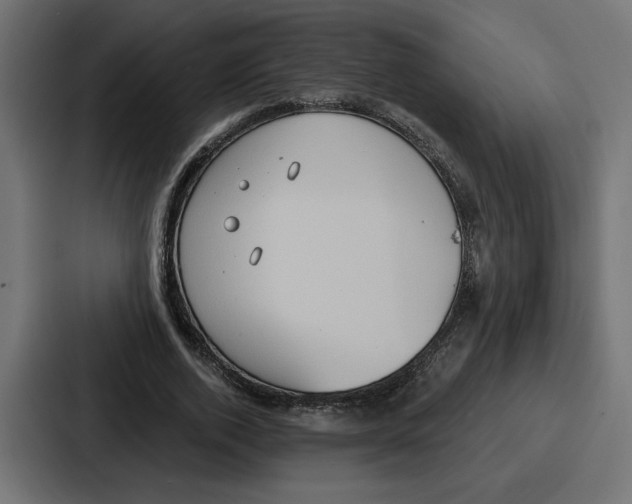 X0000086750728200705111654