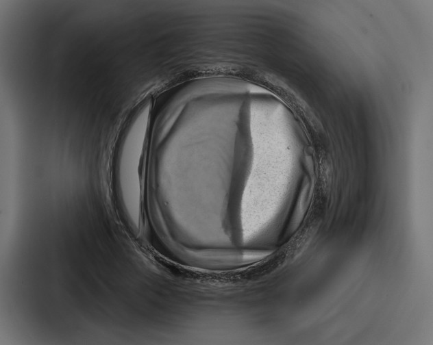 X0000086750729200705111654