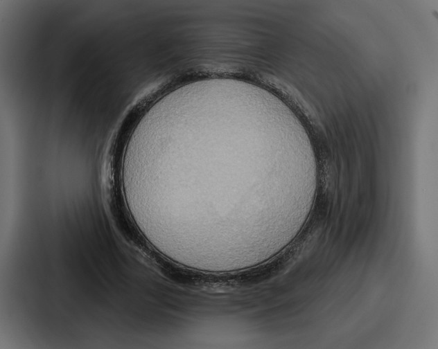 X0000086750731200705111654
