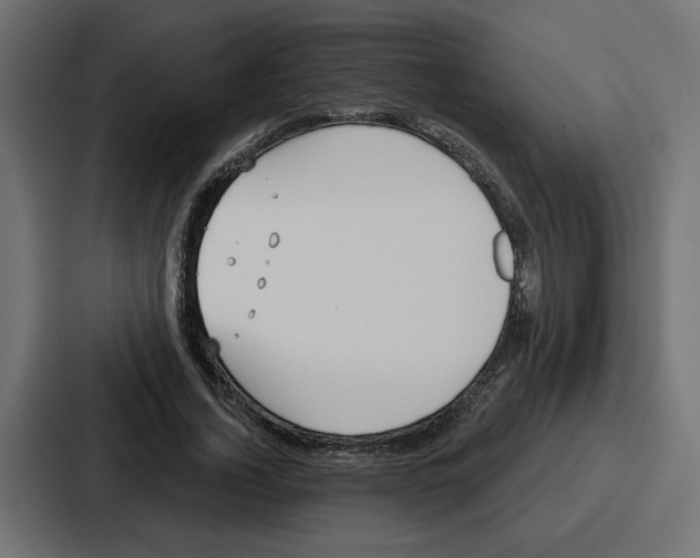 X0000086750732200705111654