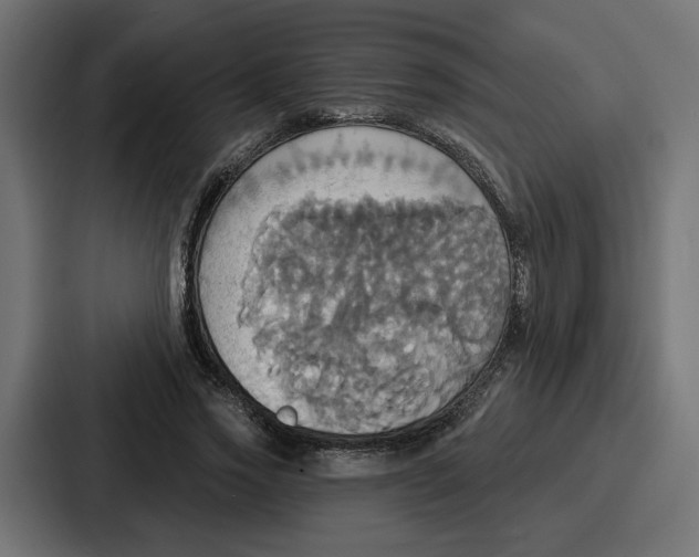 X0000086750733200705111654