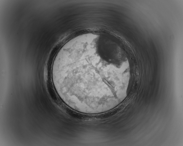 X0000086750734200705111654