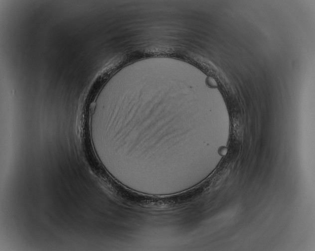 X0000086750735200705111654
