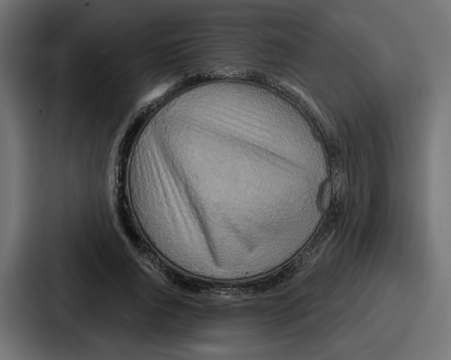 X0000086750736200705111654