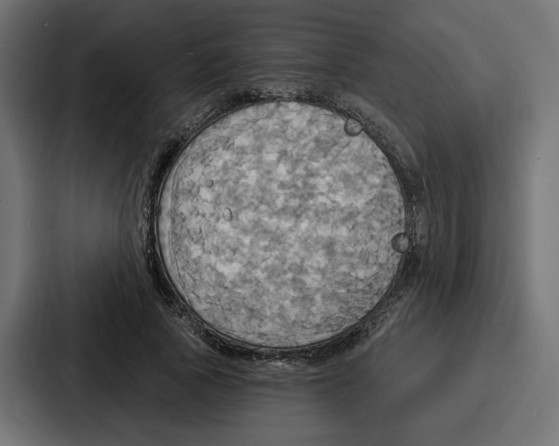 X0000086750737200705111654