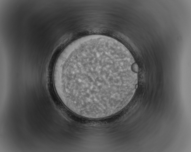 X0000086750738200705111654