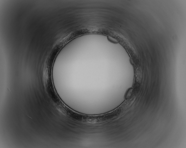 X0000086750740200705111654
