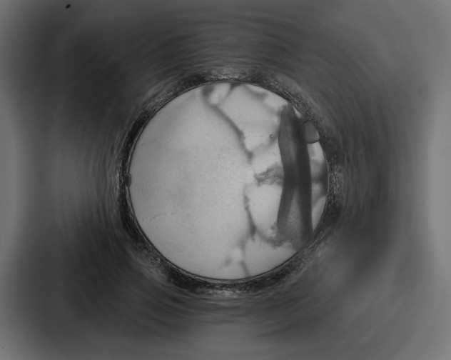 X0000086750741200705111654