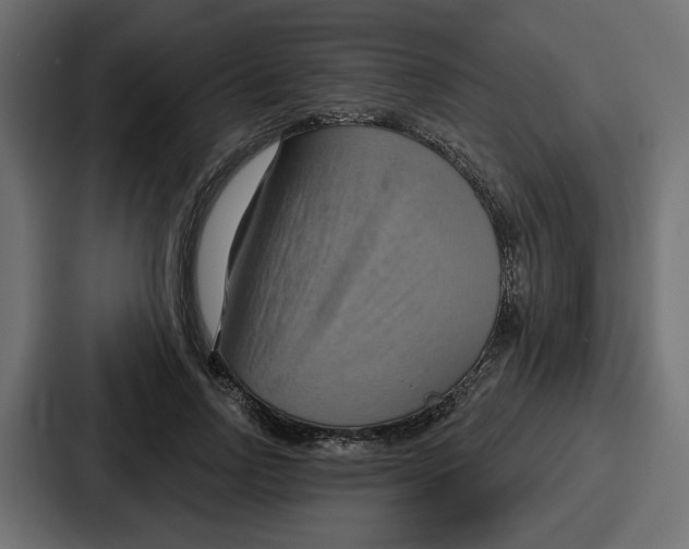 X0000086750742200705111654