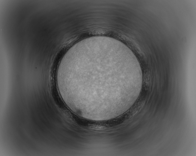 X0000086750743200705111654