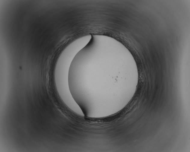 X0000086750744200705111654