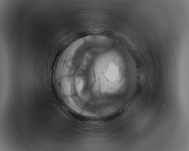X0000086750745200705111654
