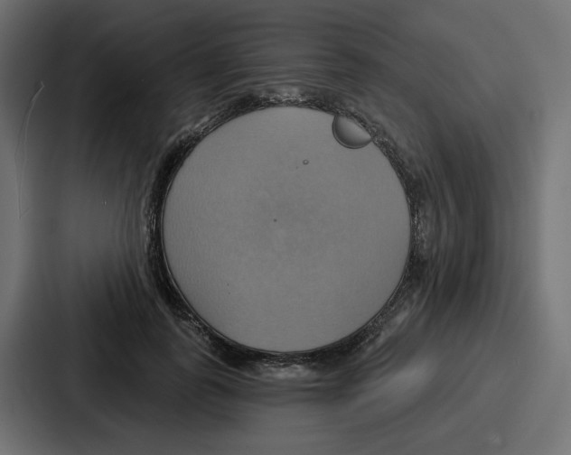 X0000086750747200705111654