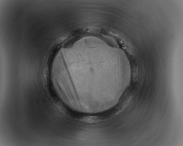 X0000086750748200705111654