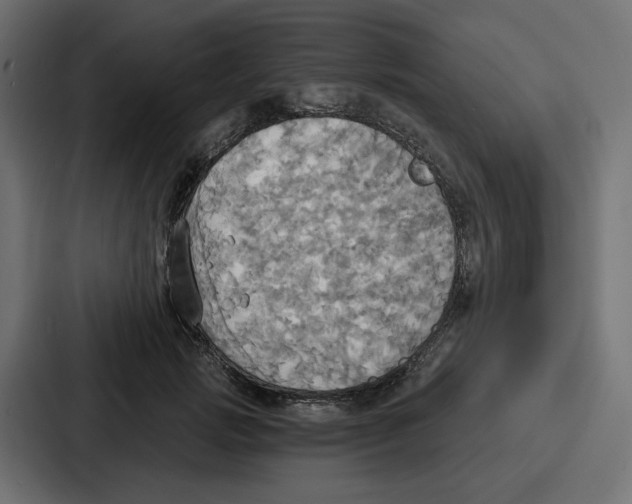 X0000086750749200705111654