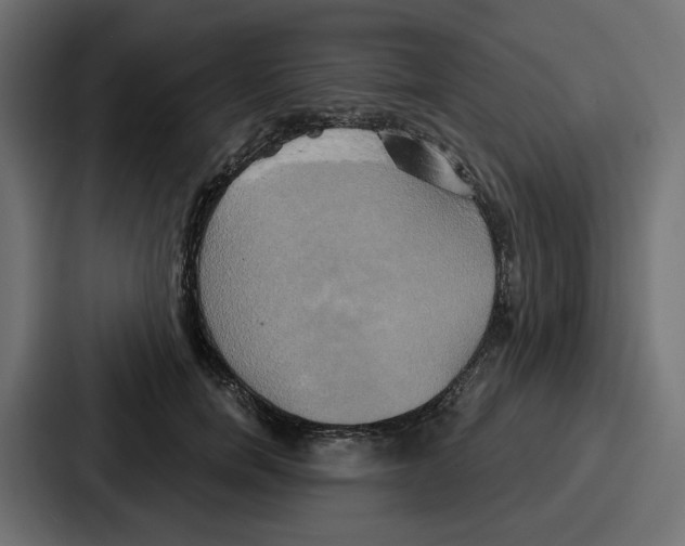 X0000086750750200705111654