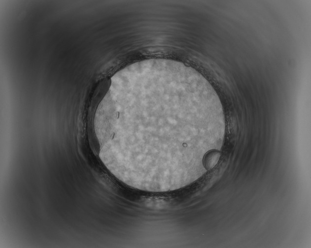 X0000086750751200705111654