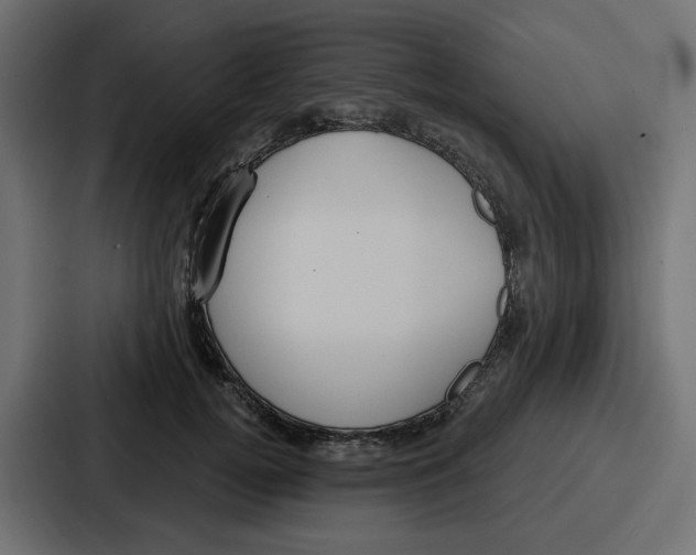 X0000086750752200705111655